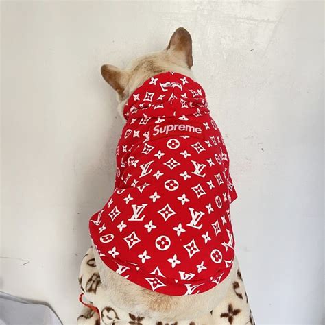 lv hoodie for dogs|louis vuitton dog catalog.